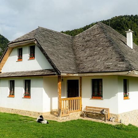 Pensiunea Hodaita Măgura Zewnętrze zdjęcie