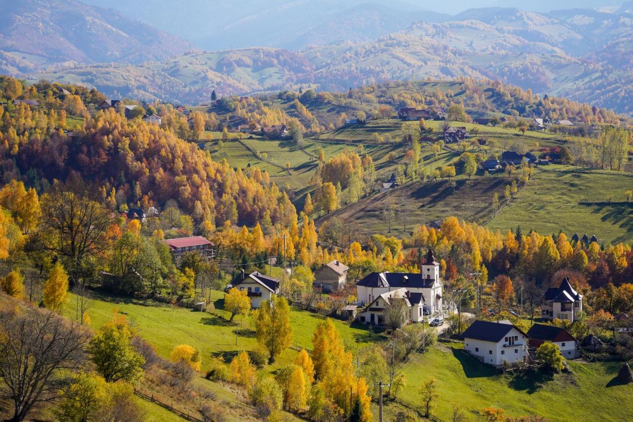 Pensiunea Hodaita Măgura Zewnętrze zdjęcie